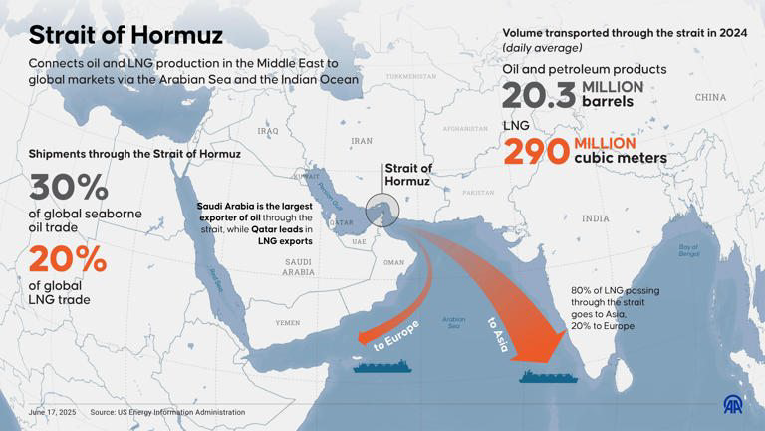 Grafik Transporte in der Strasse von Hormus Anteil Transport von LNG nach Asien und Europa in Prozent